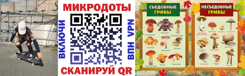 гидра   Сафоново  Галлюциногенные грибы Cubensis 