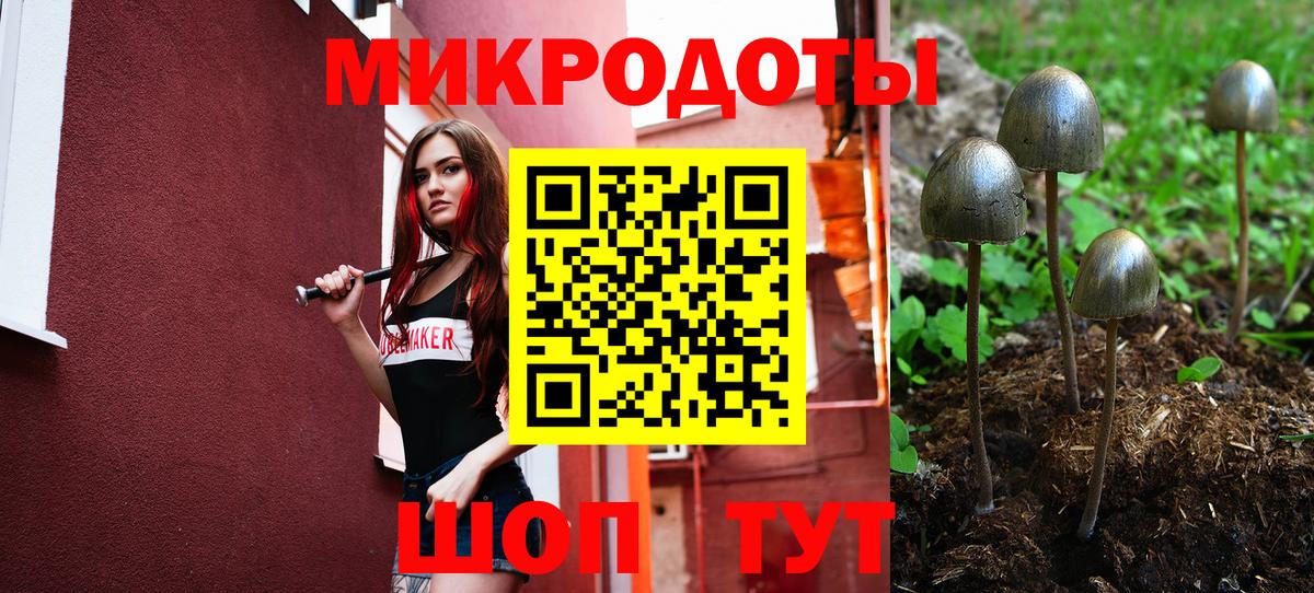 Галлюциногенные грибы мухоморы Сафоново