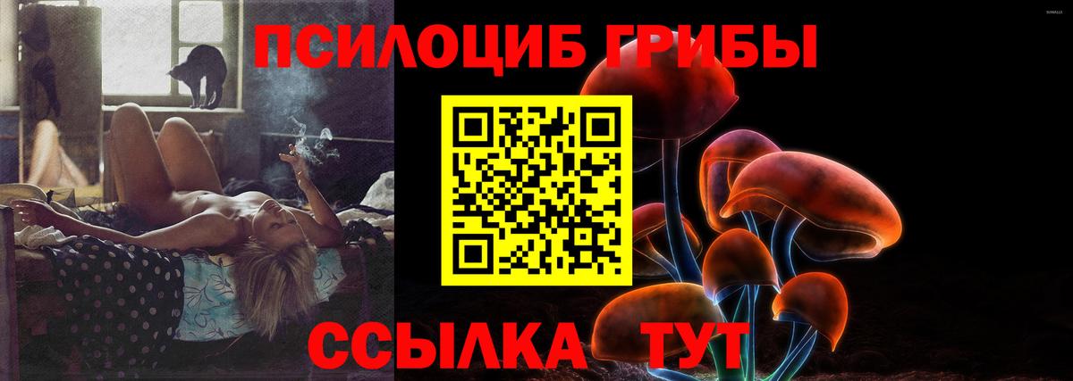 дарнет шоп  Галлюциногенные грибы мухоморы  Вход с VPN  Галлюциногенные грибы Psilocybine cubensis  Сафоново 